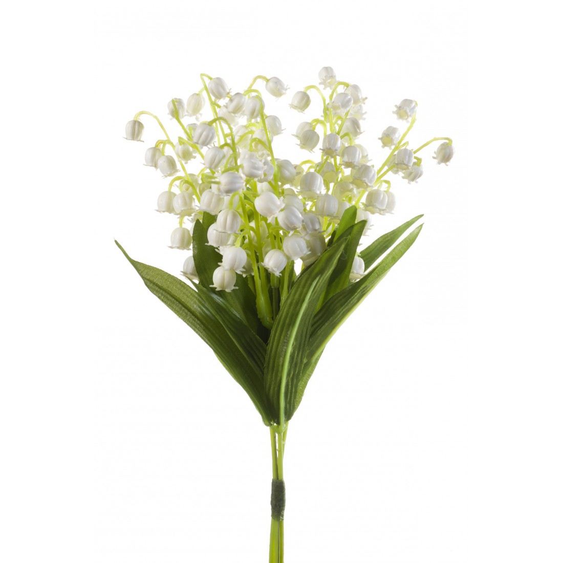 Muguet
